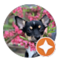 oce c review jr spas hot tubs